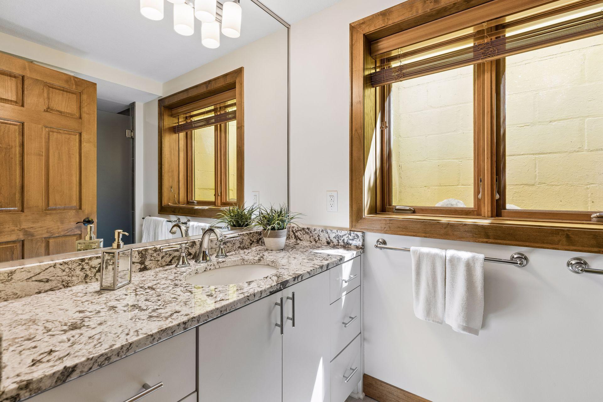 Lower Level 3/4 Bathroom