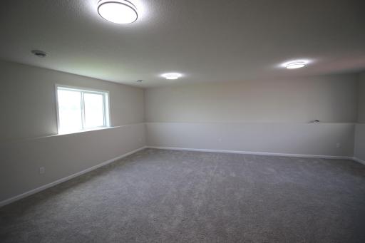 24135 Polk Street NE, Bethel, MN 55005