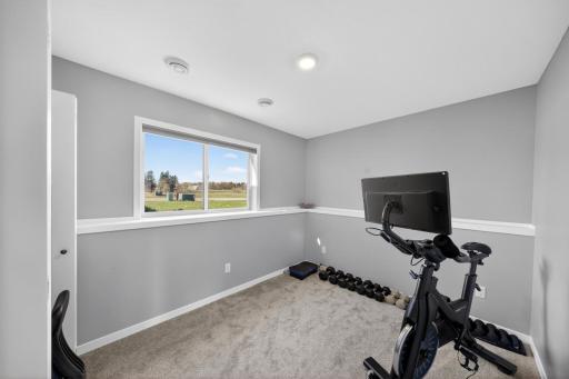 1051 3rd Street, Wanamingo, MN 55065