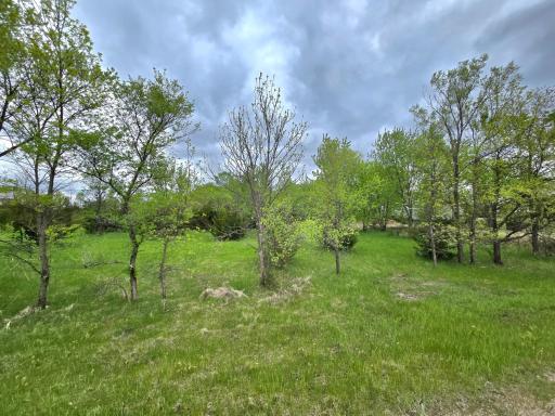 Build your dream home on this spacious 1.83 acre lot located in a low traffic