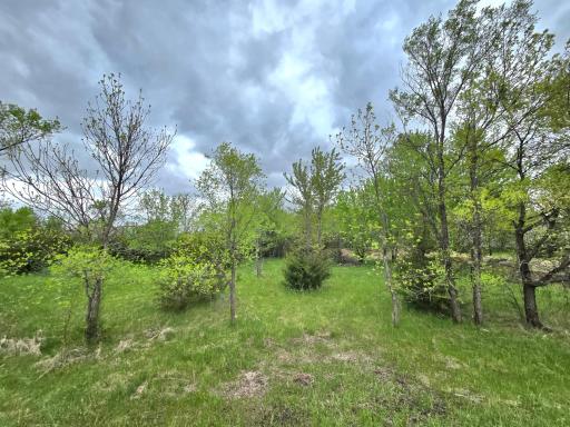 Imagine your new life in your new home, right here! Open to all builders.