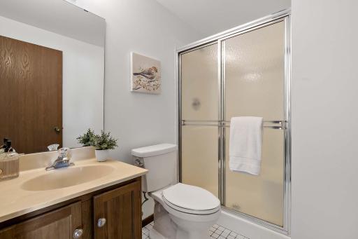 Lower-level bathroom, conveniently located for the bedroom and family room.