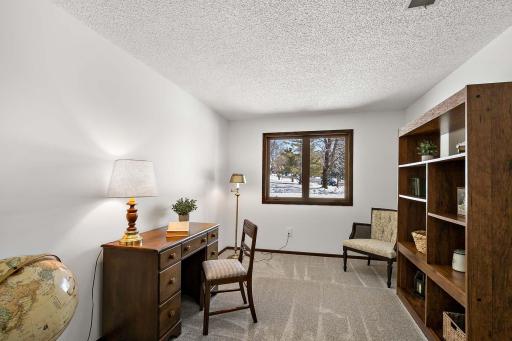 Lower-level bedroom, versatile for use as a guest room or home office.
