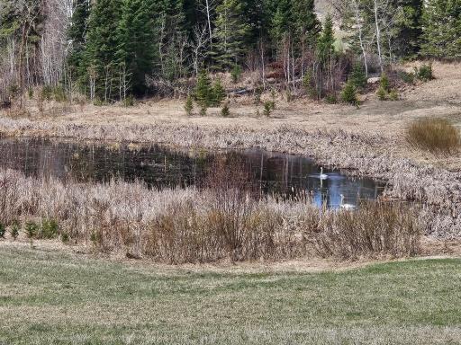 20260507_095311.jpg