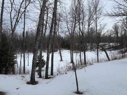 1736 67th Street SW, Baudette, MN 56623