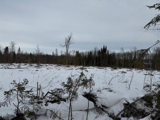 1736 67th Street SW, Baudette, MN 56623