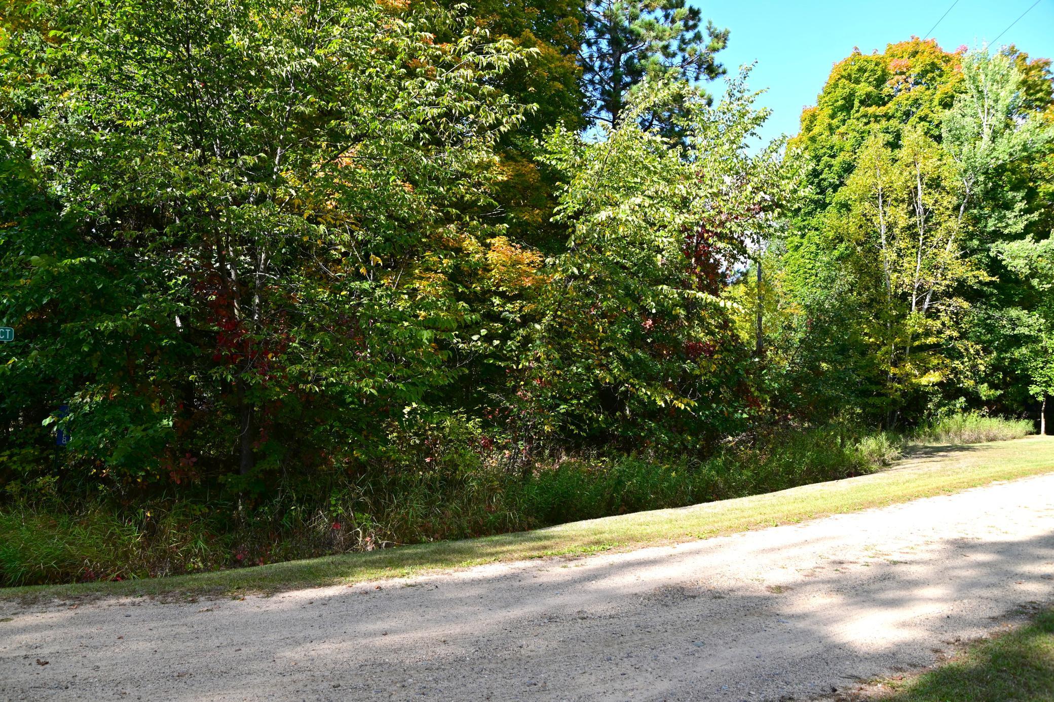 DSC_6811 e.JPG