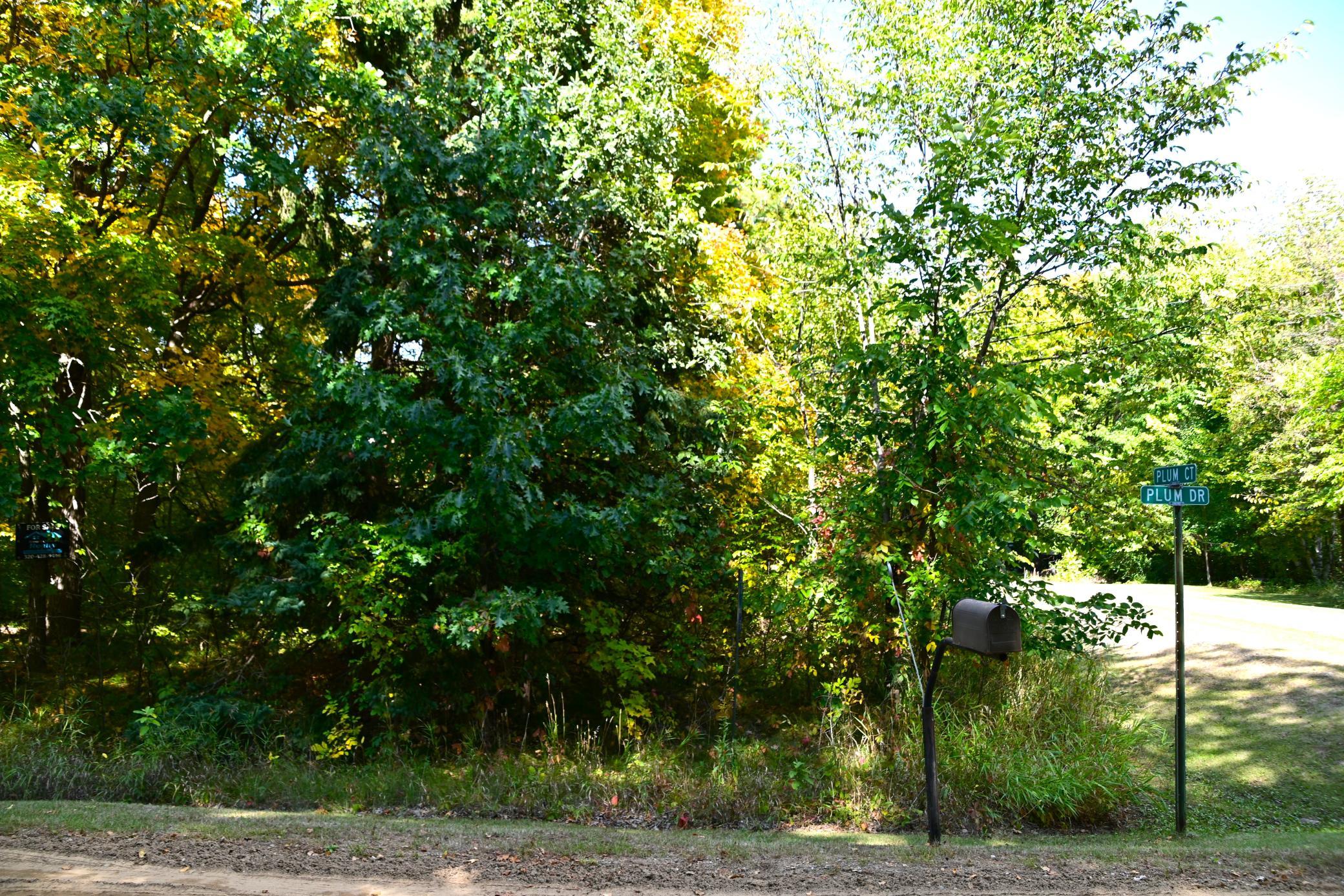 DSC_6815 e.JPG