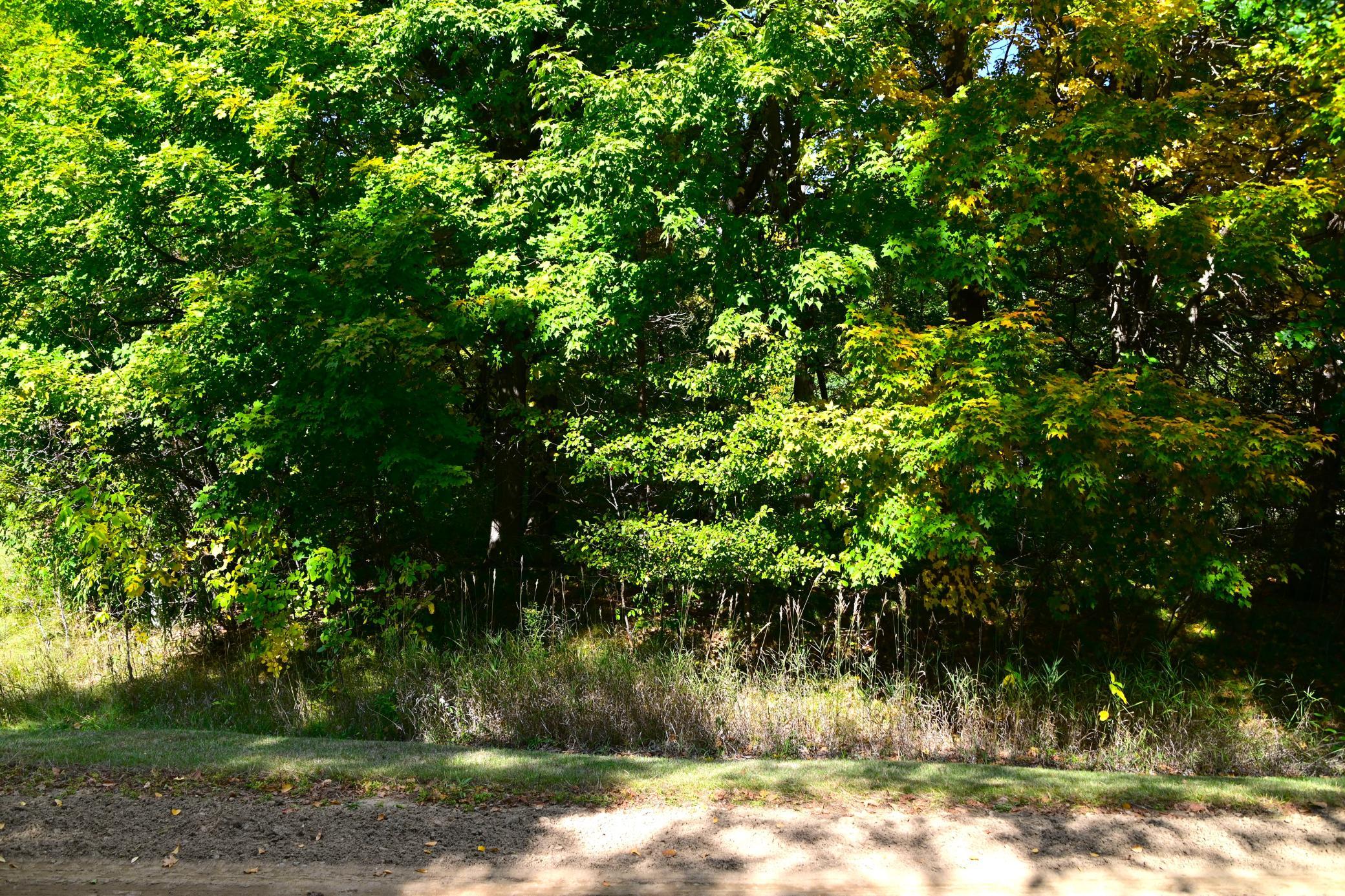 DSC_6806 e.JPG