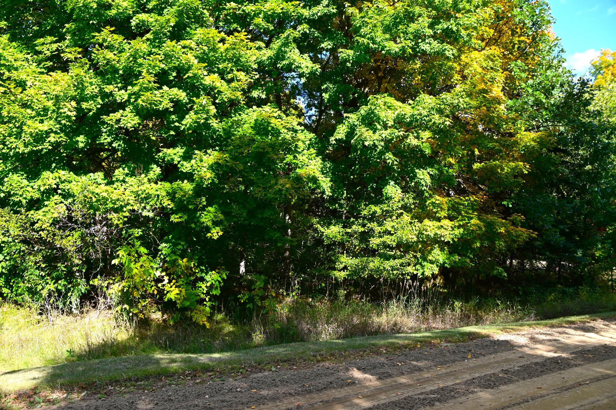 DSC_6807 e.JPG