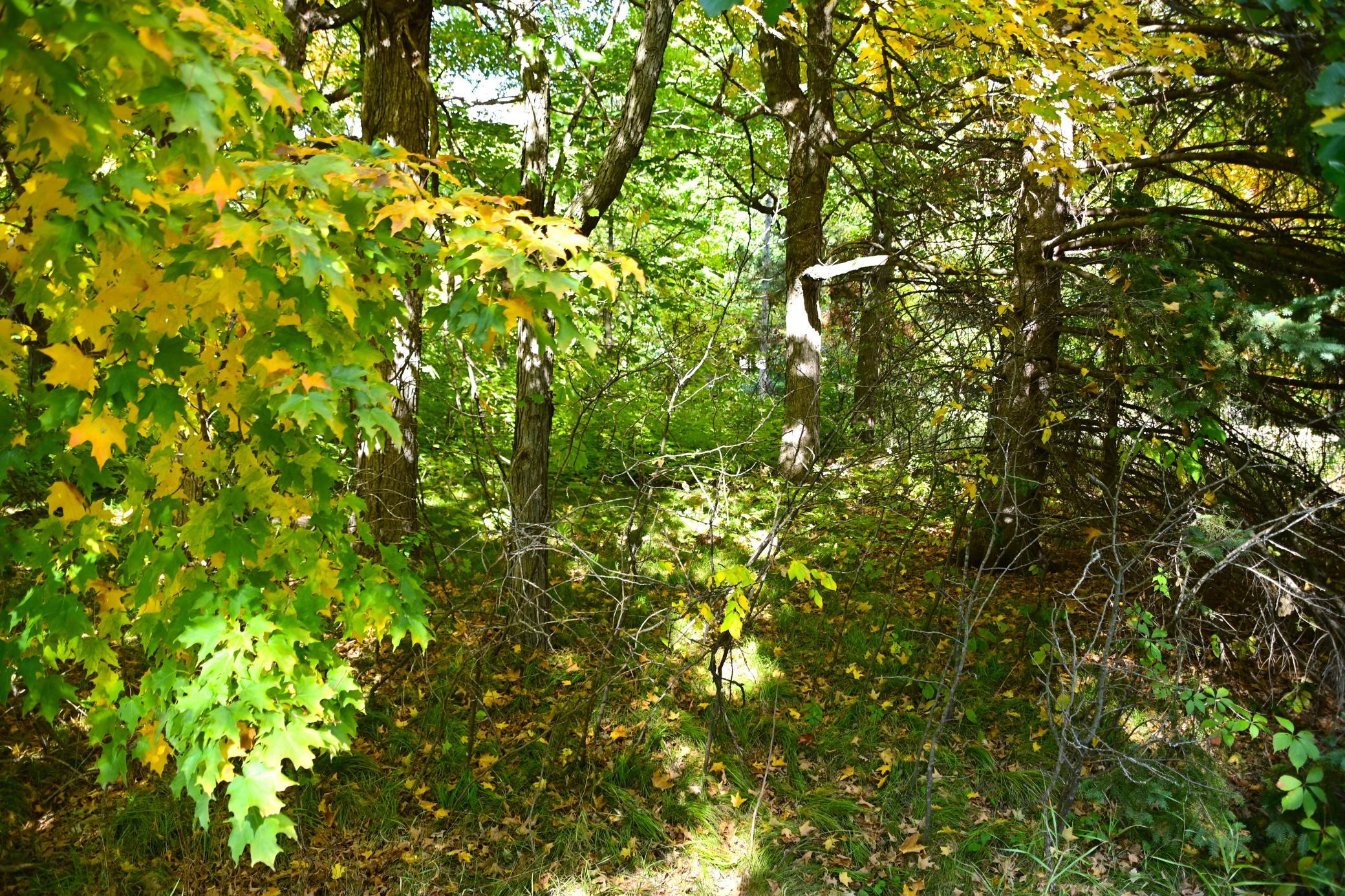 DSC_6810 e.JPG
