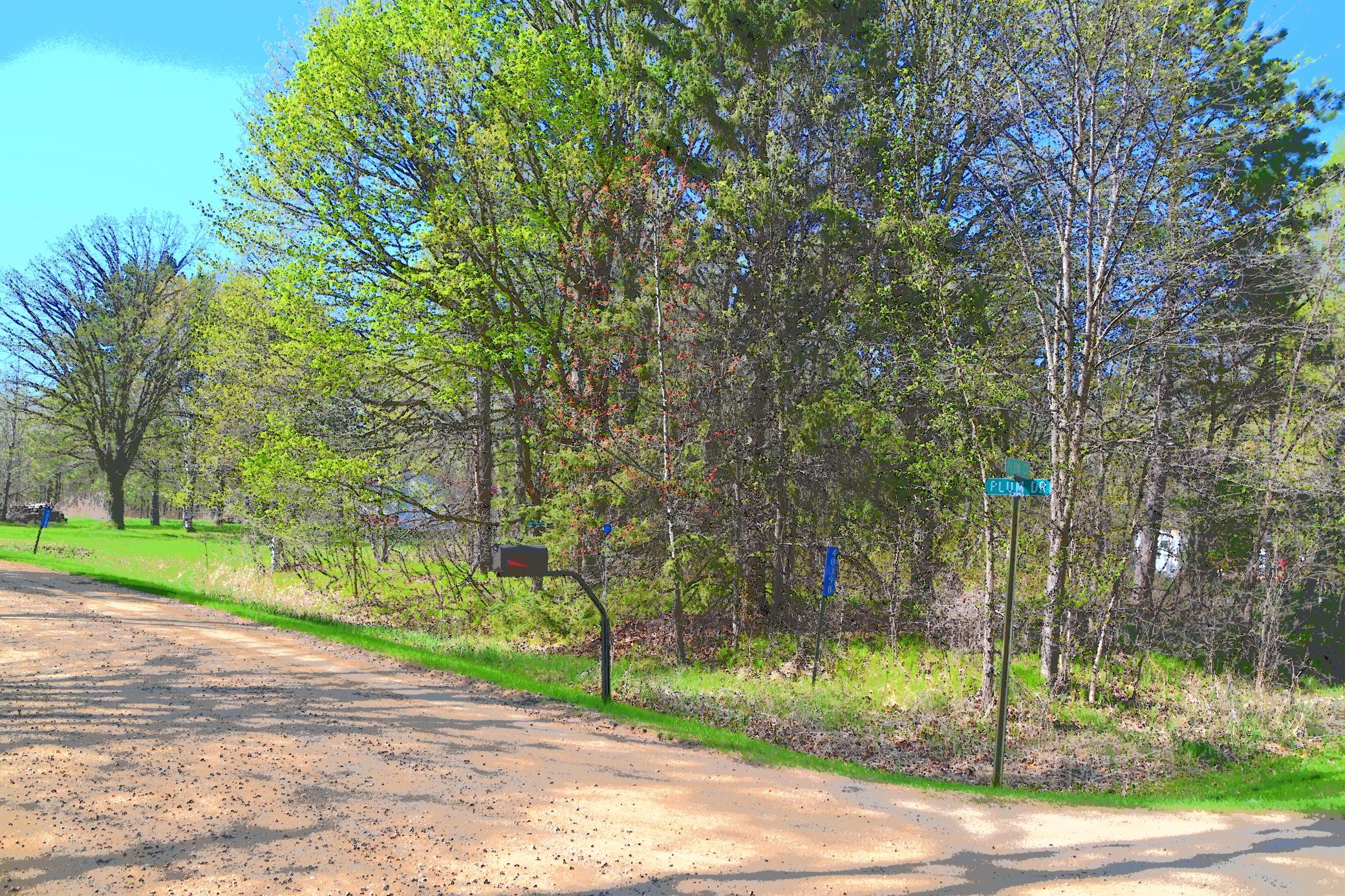 DSC_7964.JPG