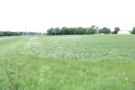 View to West from the SE Corner