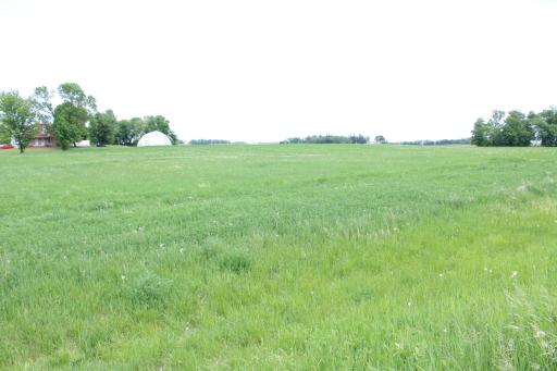 View NW from SE Corner