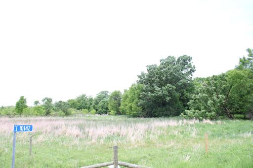 View of SW Pasture from Driveway