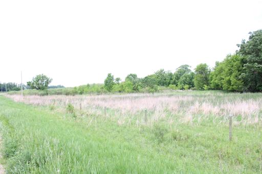 View of Pasture along the Driveway