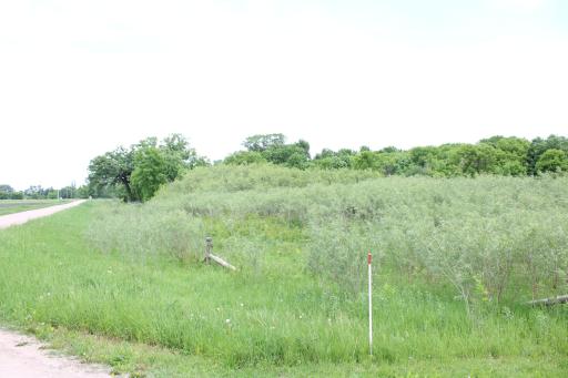 View of Pasture in SW Corner