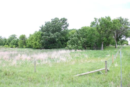 View of Pasture & Woods from Driveway