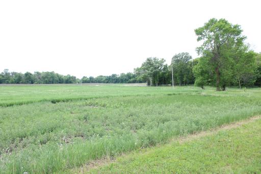 View SW from Garage/Quonset