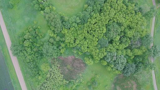 Aerial of Woods