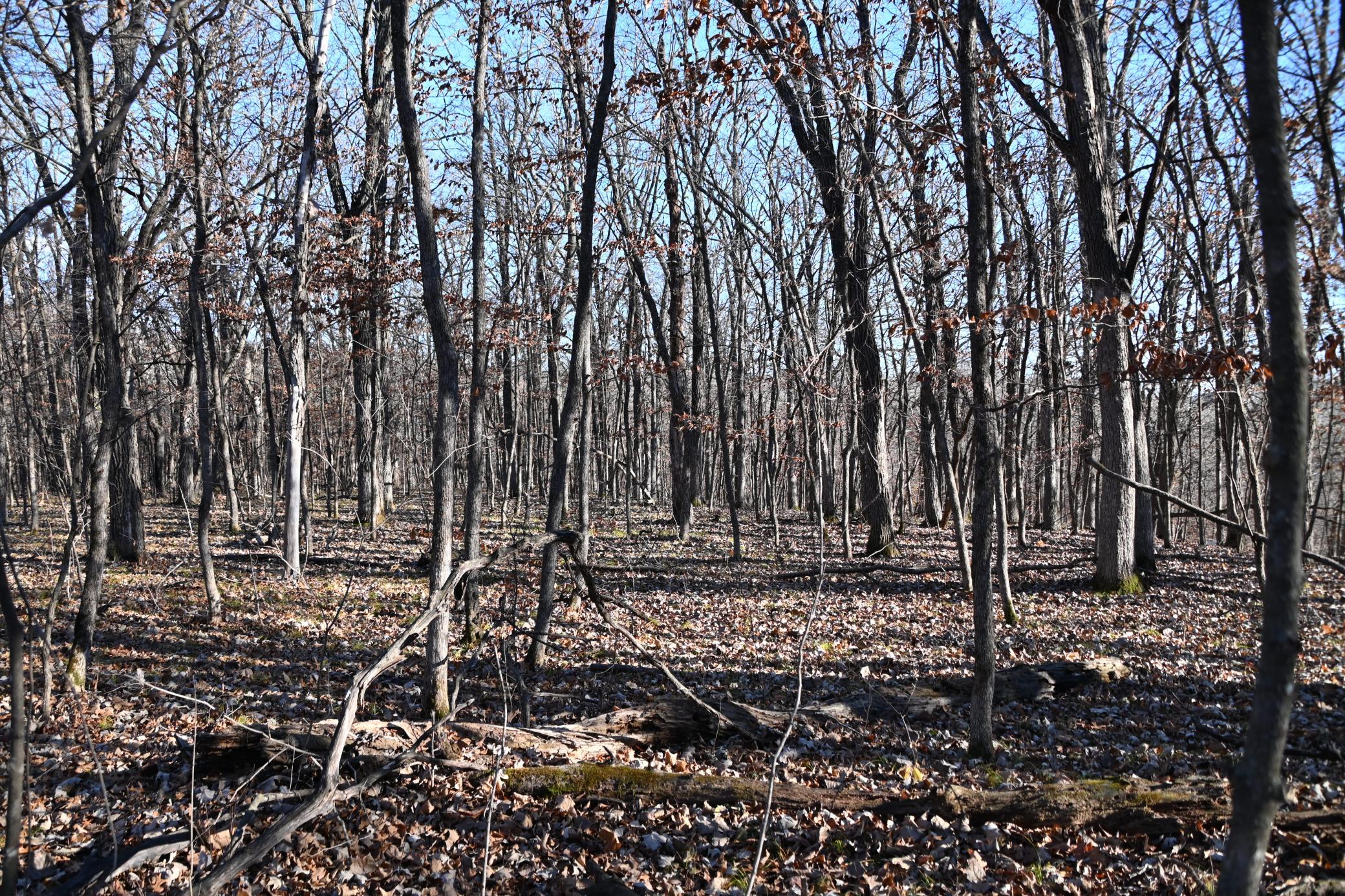 DSC_8725.JPG