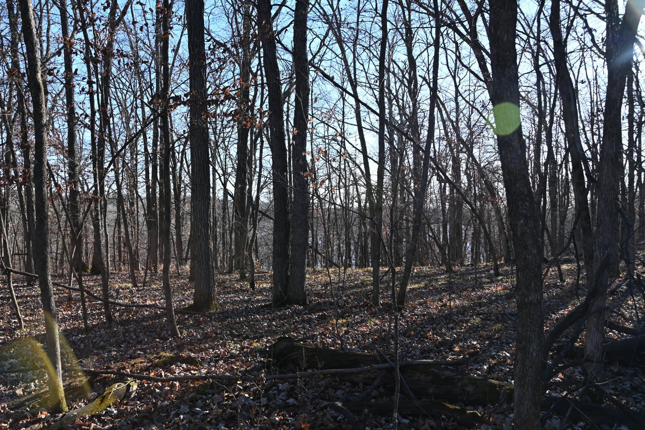 DSC_8726.JPG