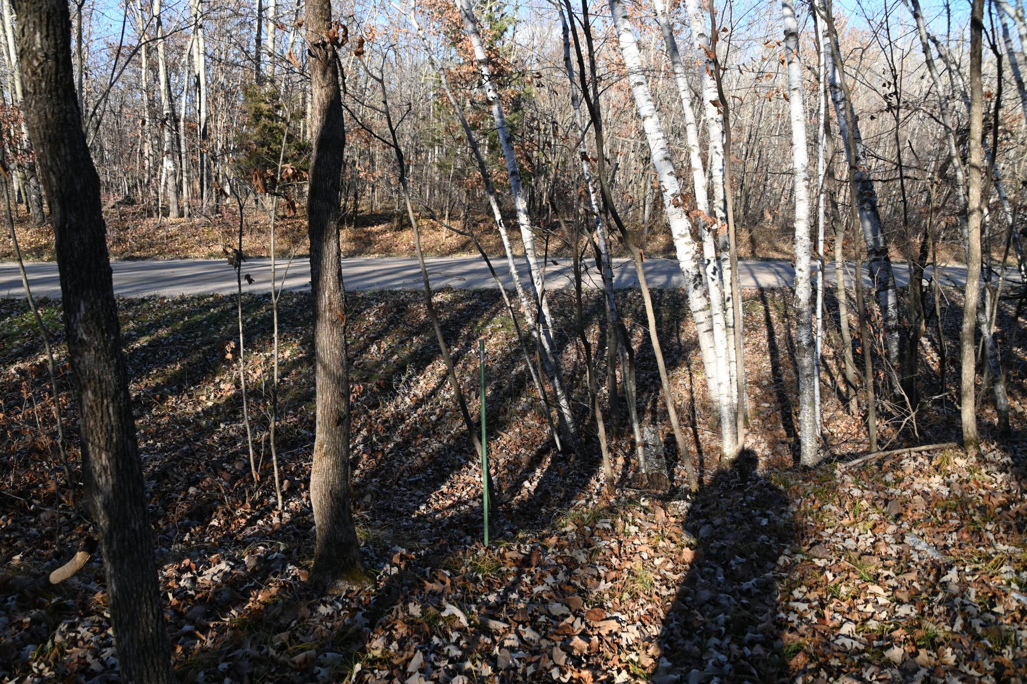 Green Stake is Left Side Lot Line