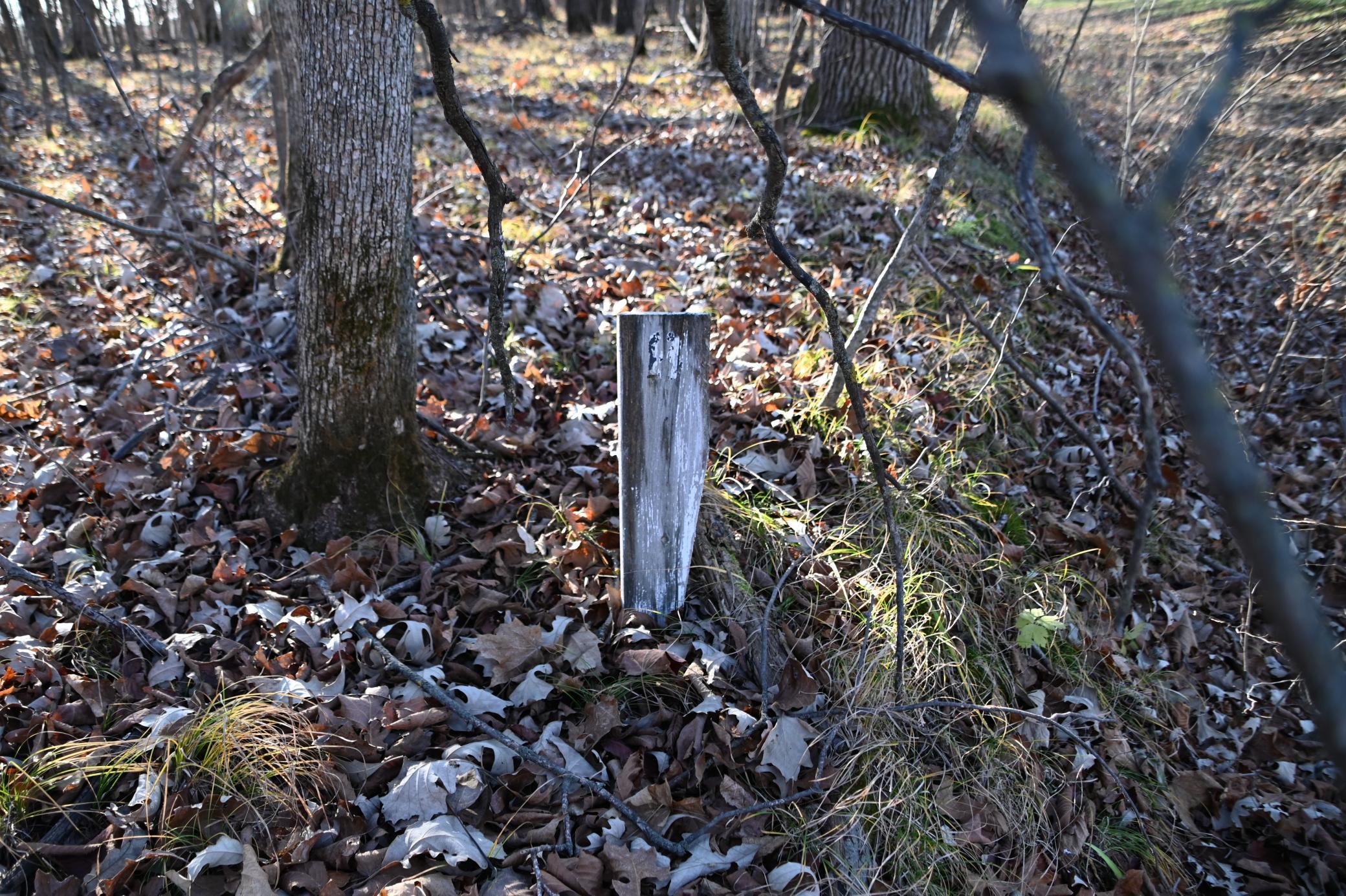 Wooden Stake is Right Side of Property