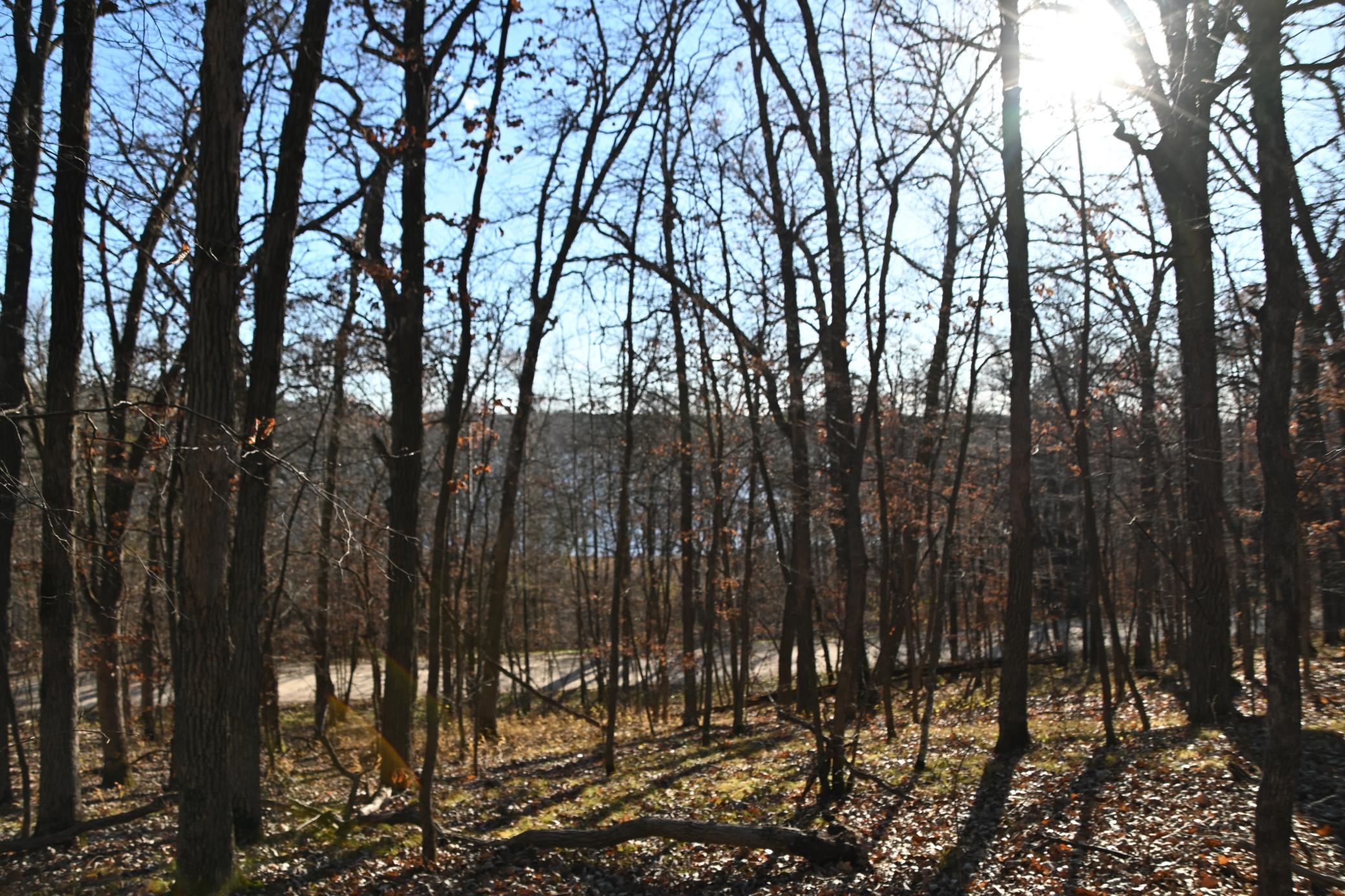 DSC_8714.JPG