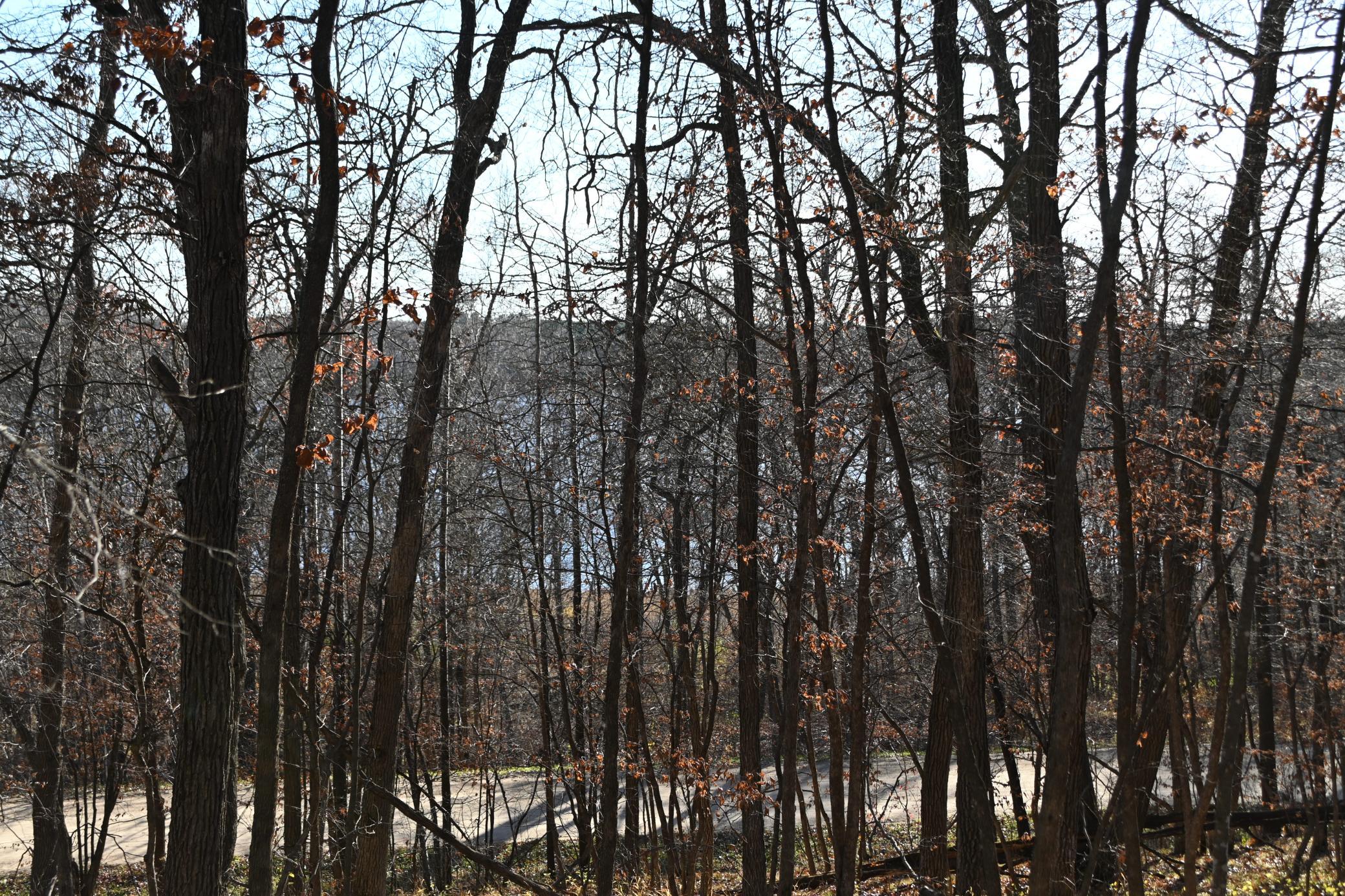 DSC_8713.JPG