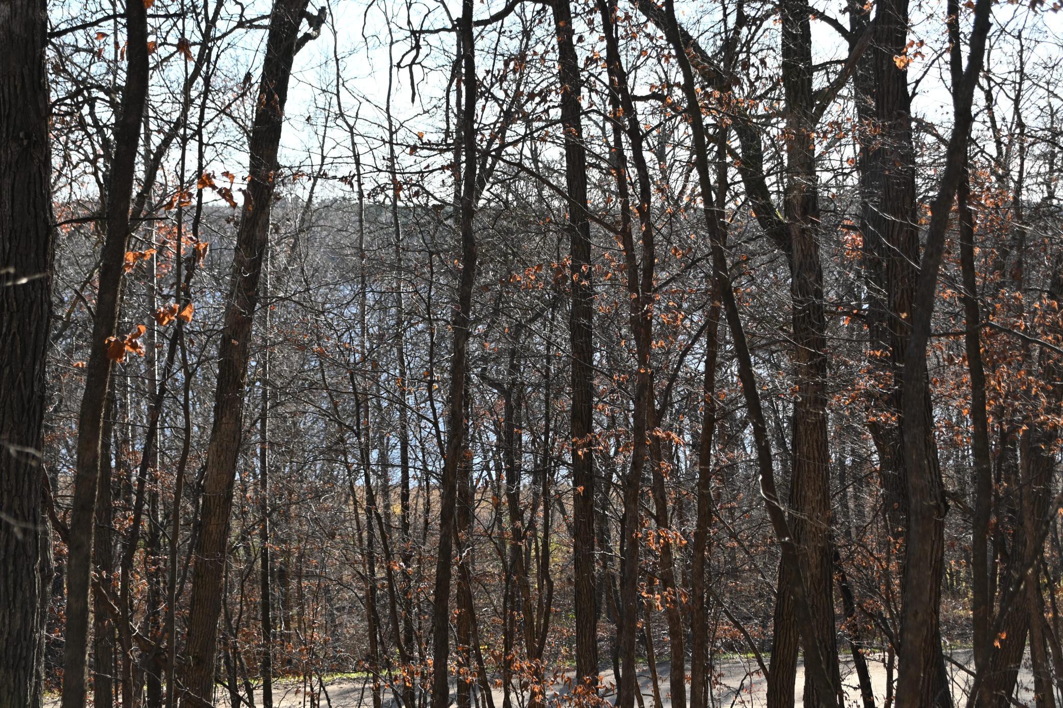 DSC_8712.JPG