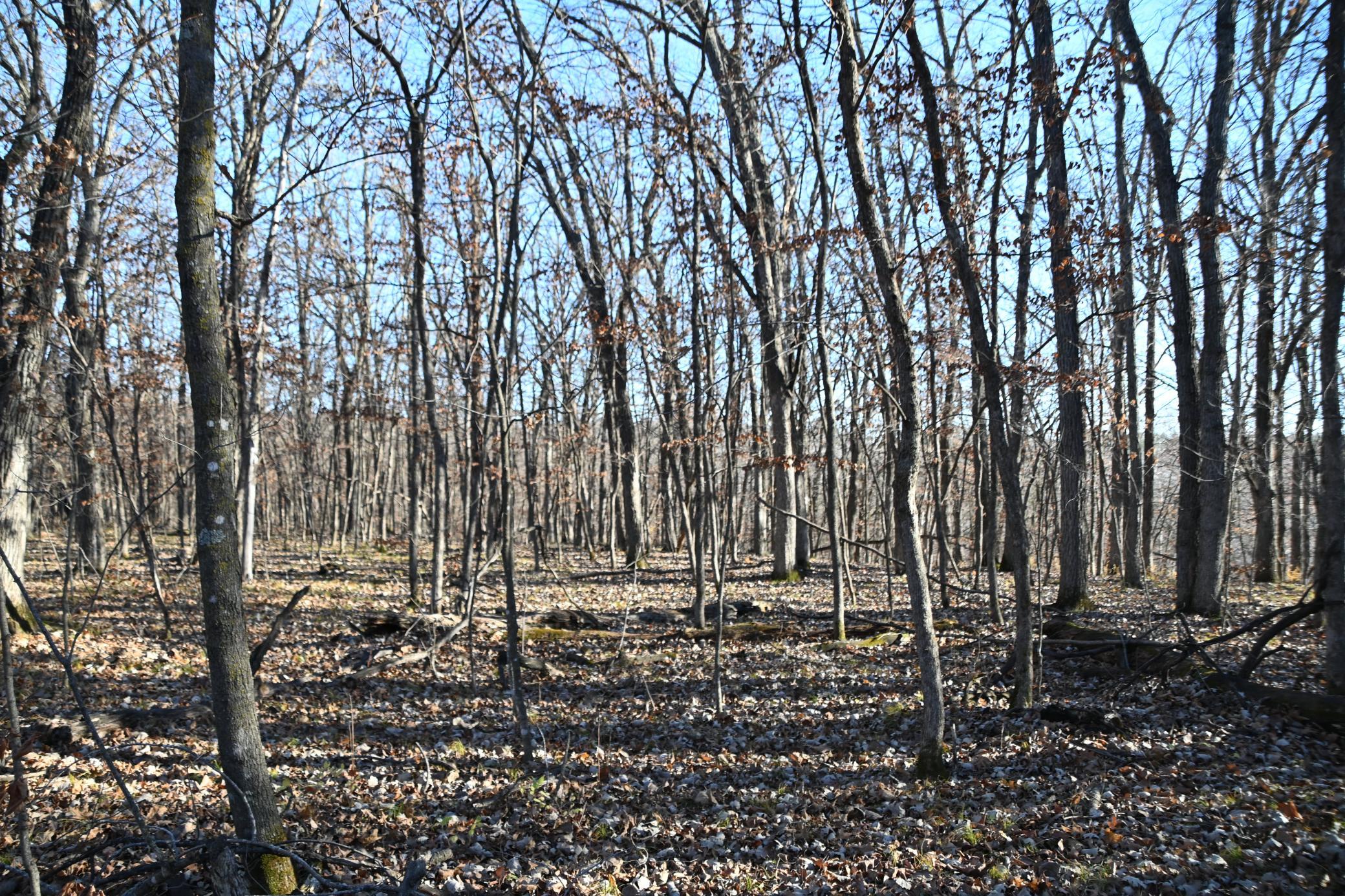 DSC_8723.JPG