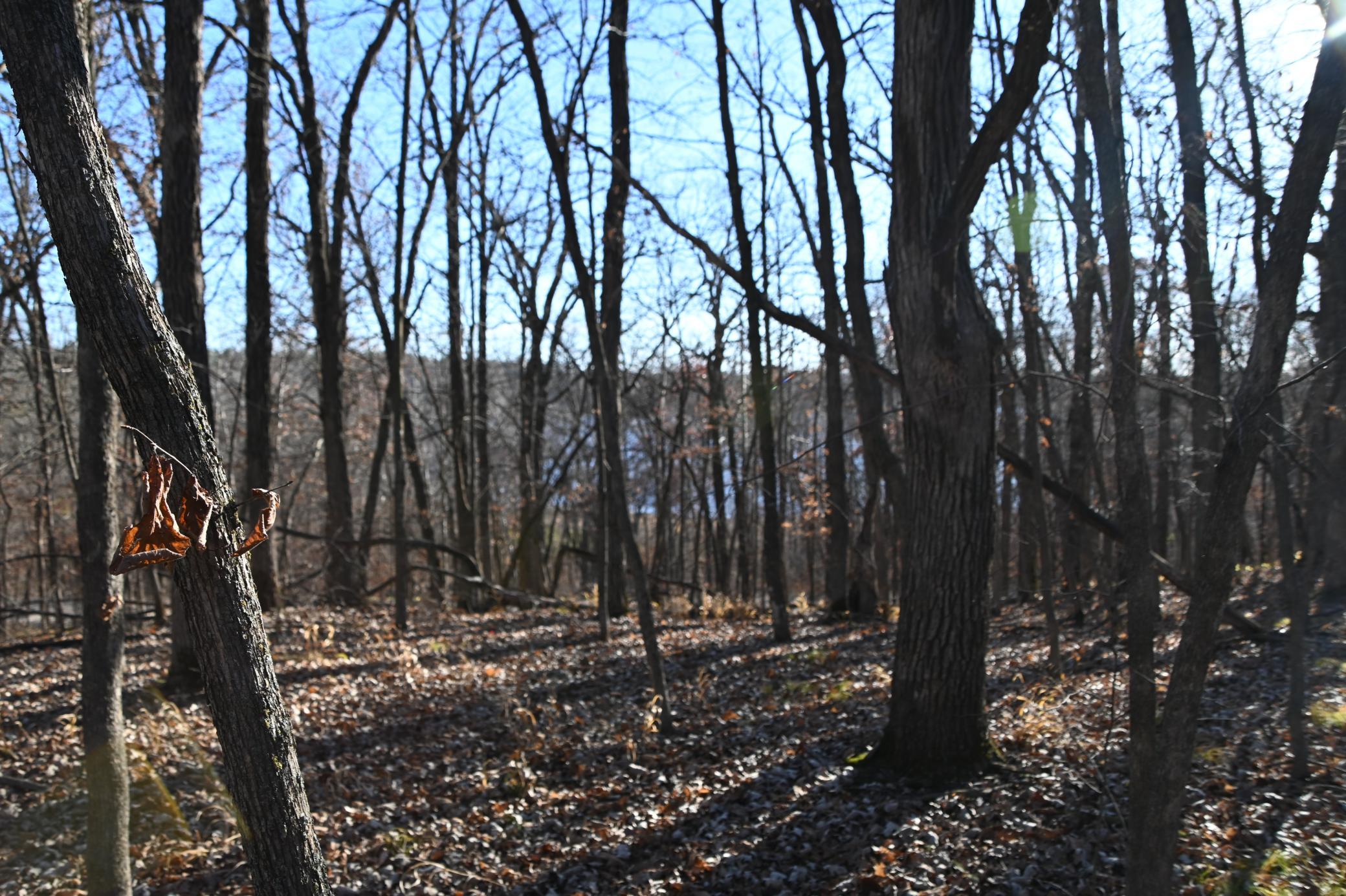 DSC_8727.JPG