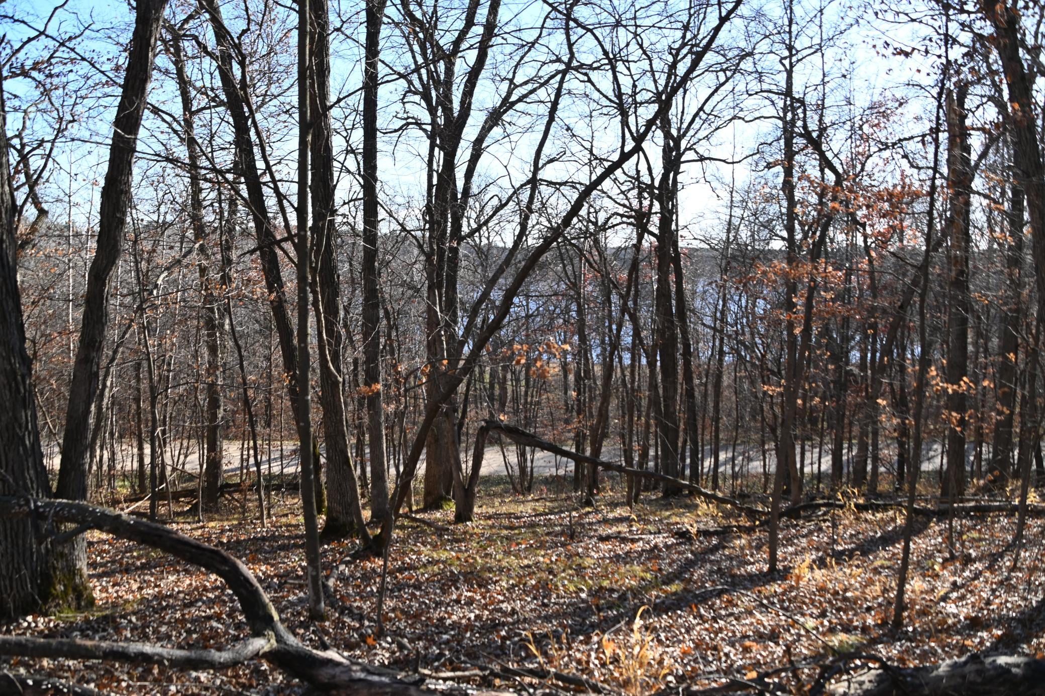 DSC_8729.JPG