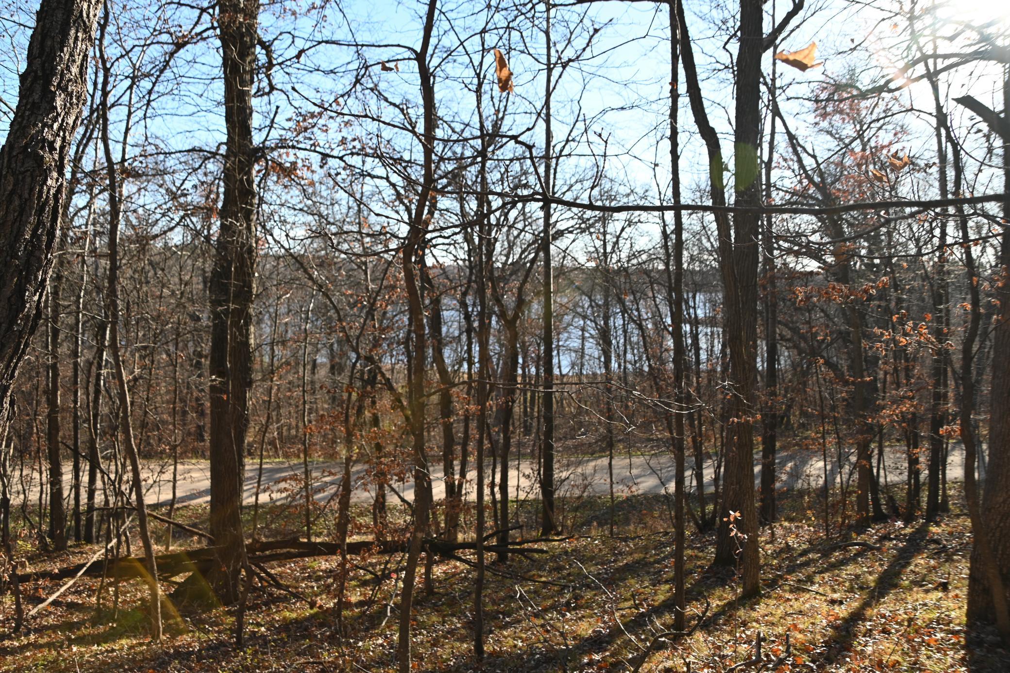 DSC_8732.JPG