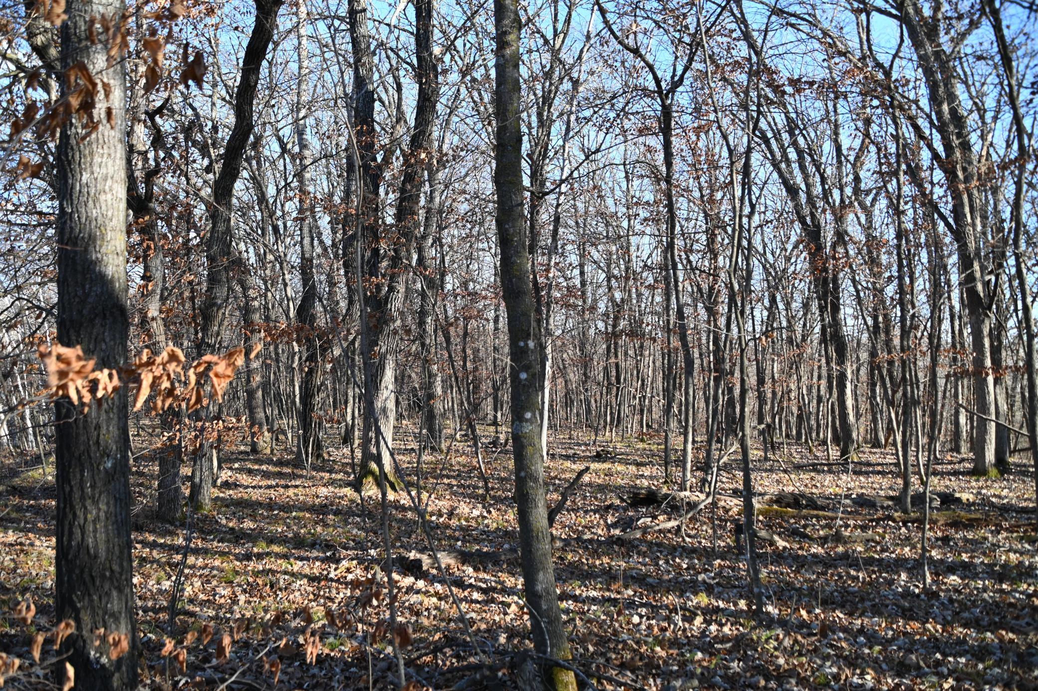 DSC_8724.JPG