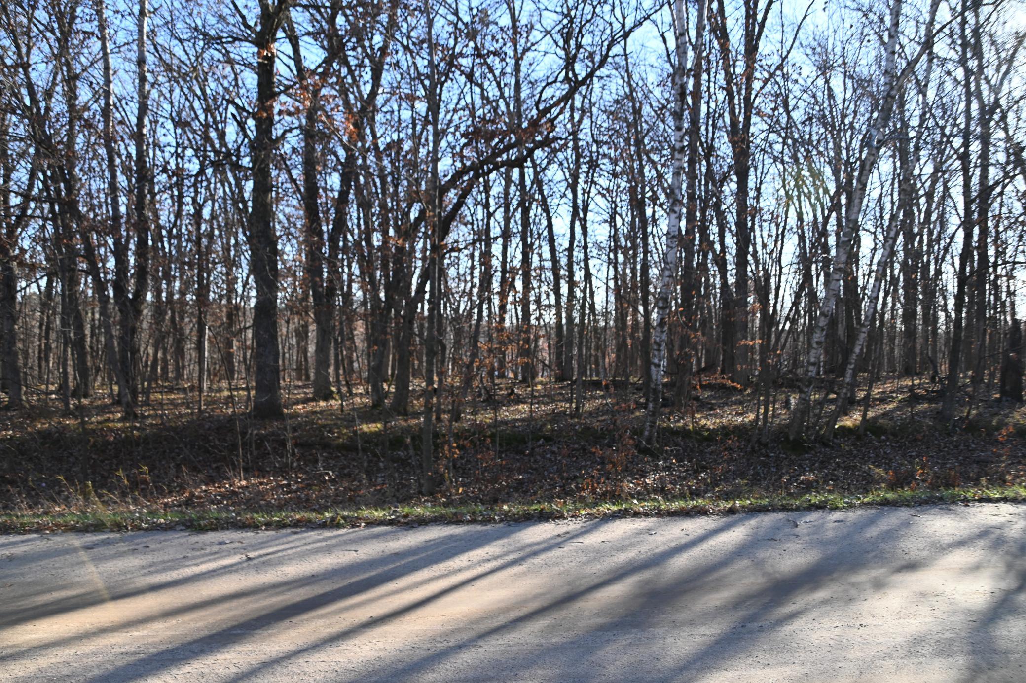 DSC_8721.JPG