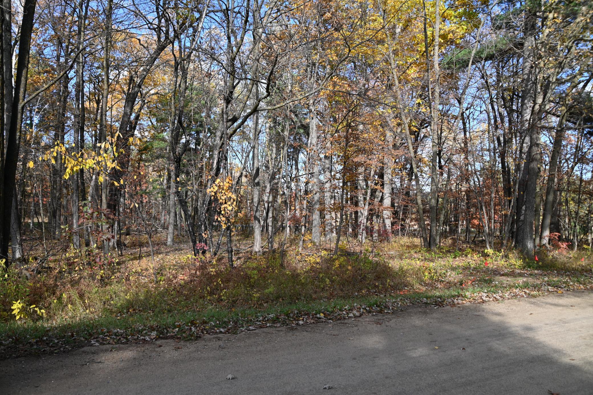DSC_8662.JPG