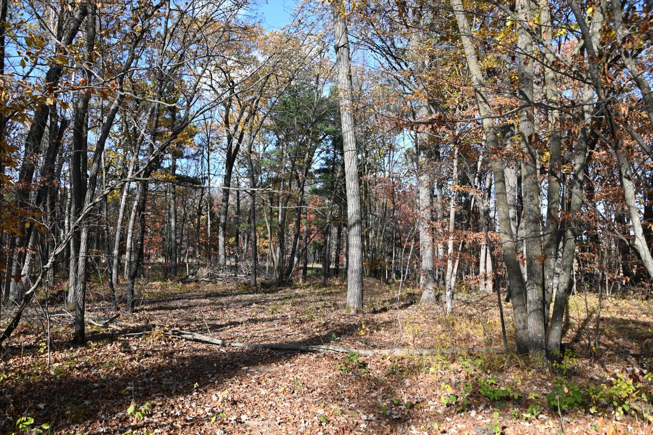 DSC_8649.JPG
