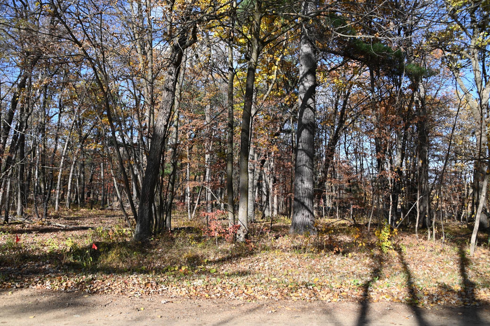 DSC_8648.JPG
