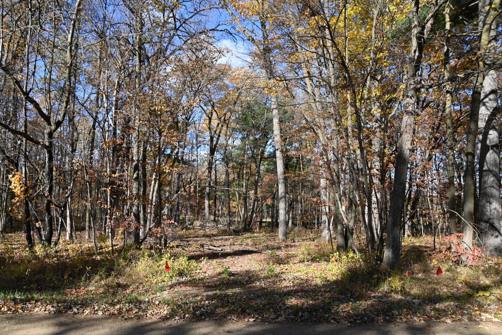 DSC_8647.JPG