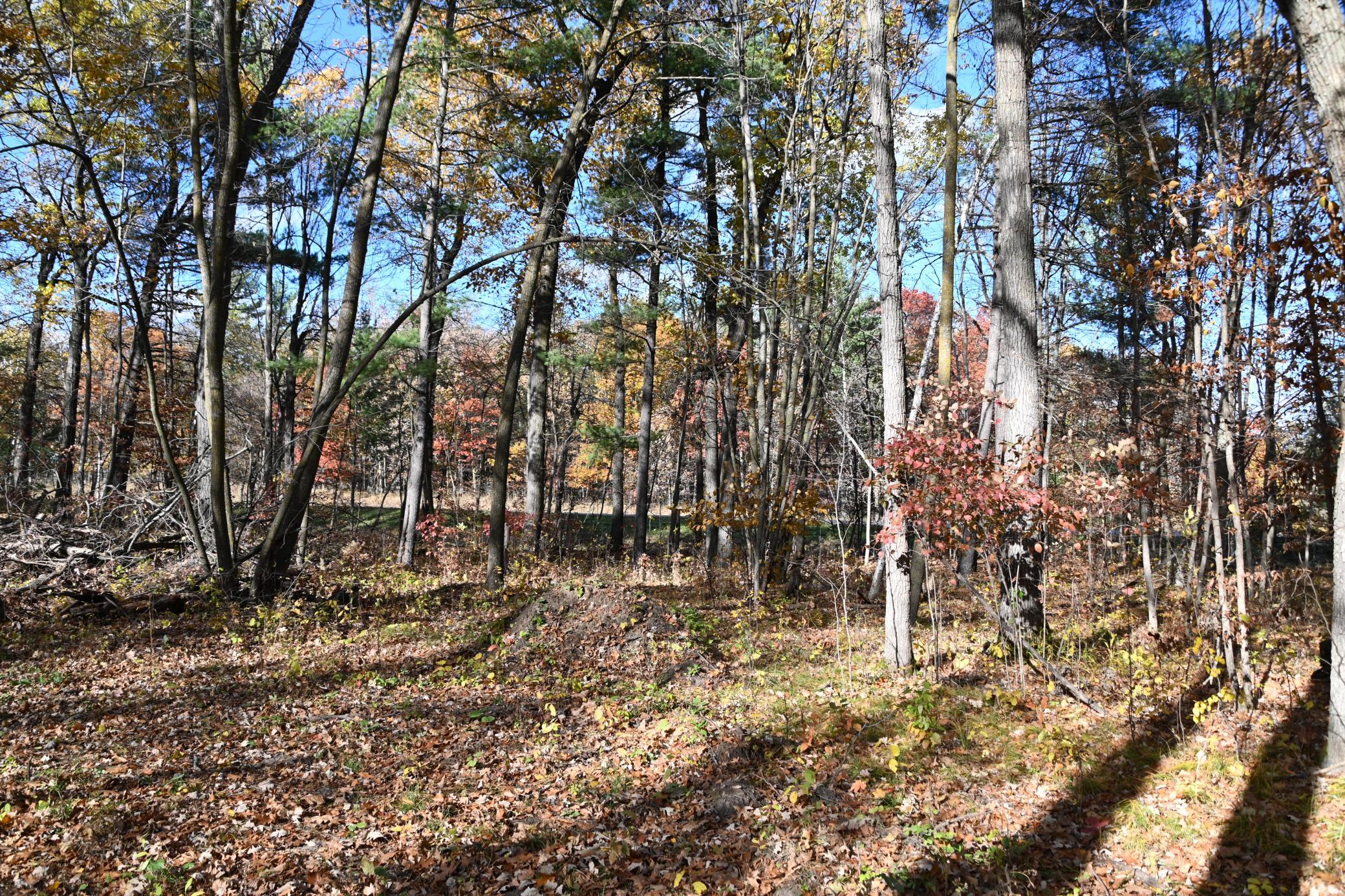 DSC_8655.JPG