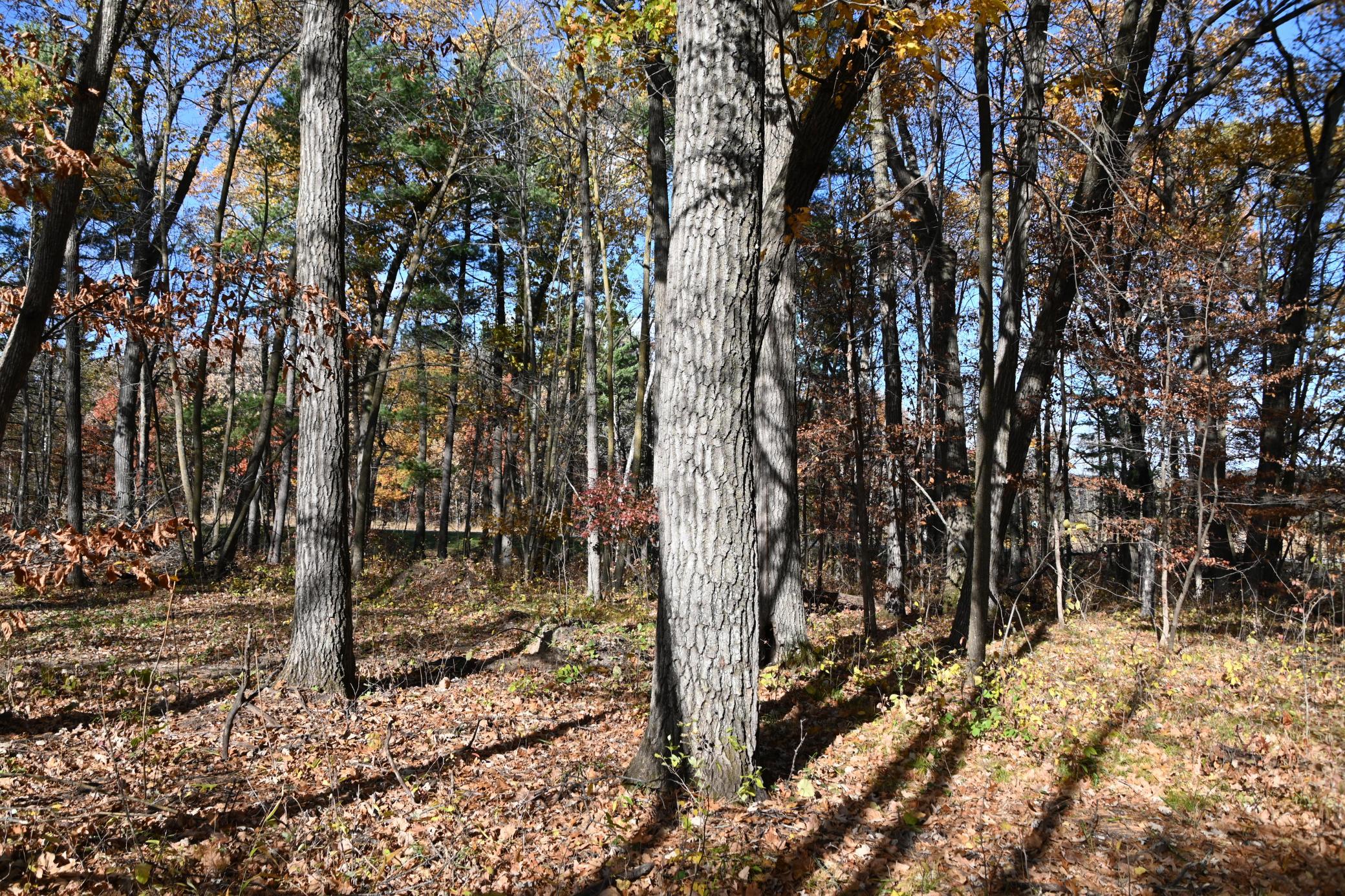 DSC_8653.JPG