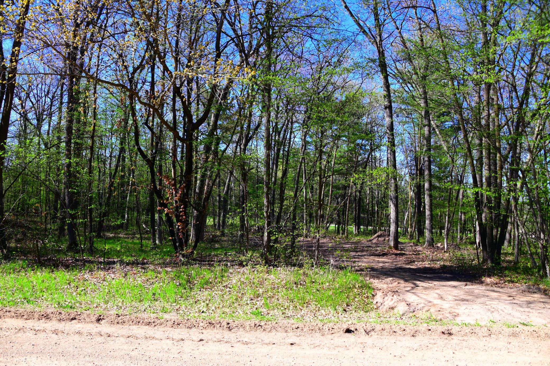 DSC_8085.JPG
