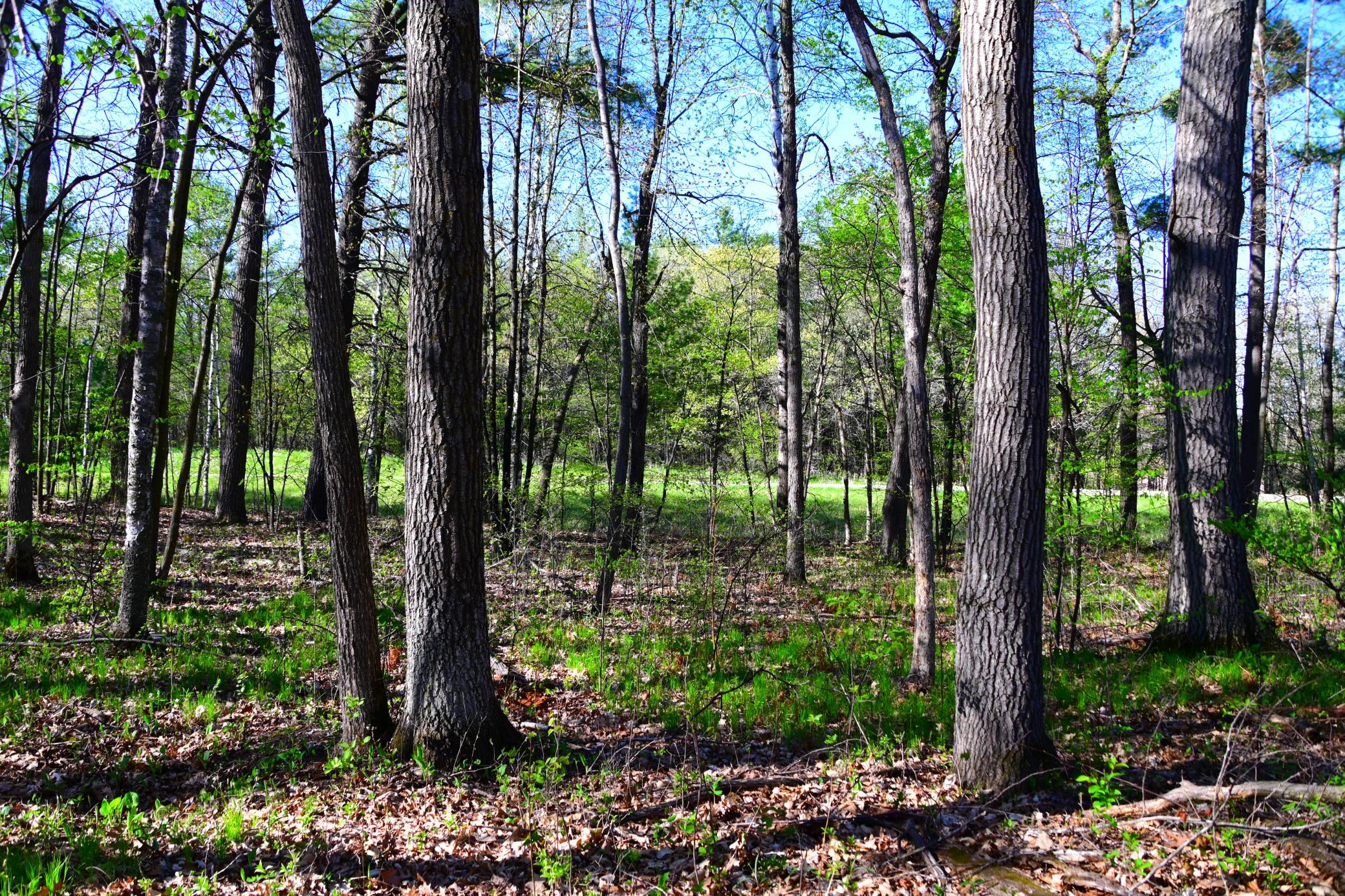 DSC_8080.JPG