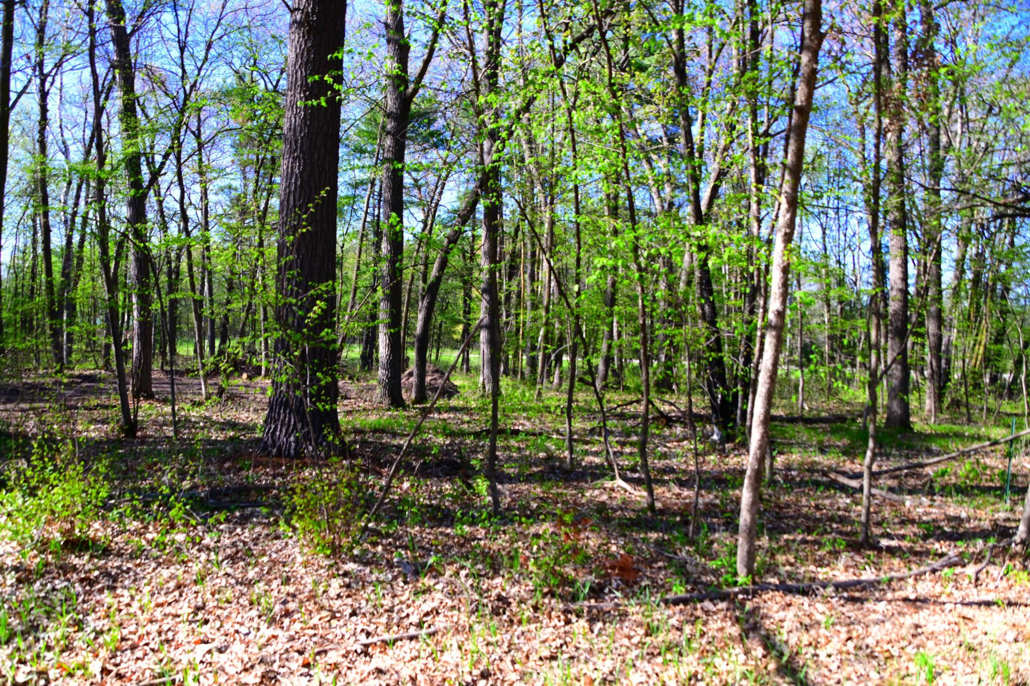 DSC_8087.JPG