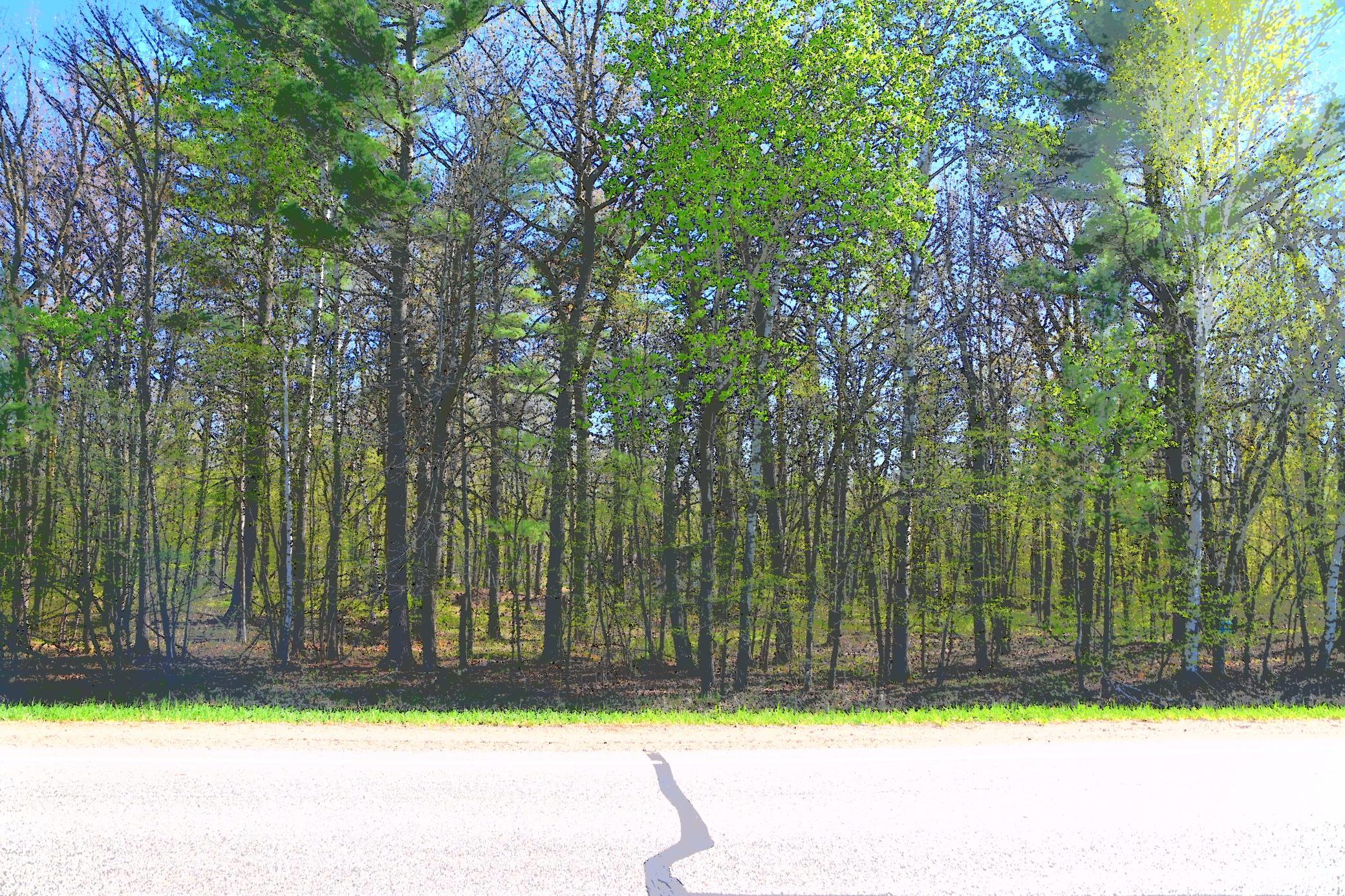 Tar Cty Rd 26 Side Spring