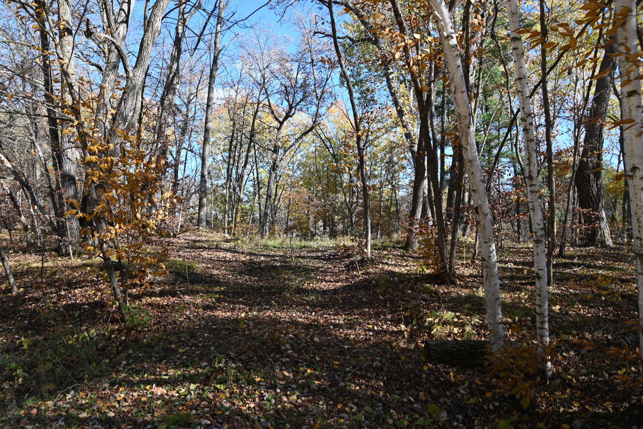 DSC_8606.JPG