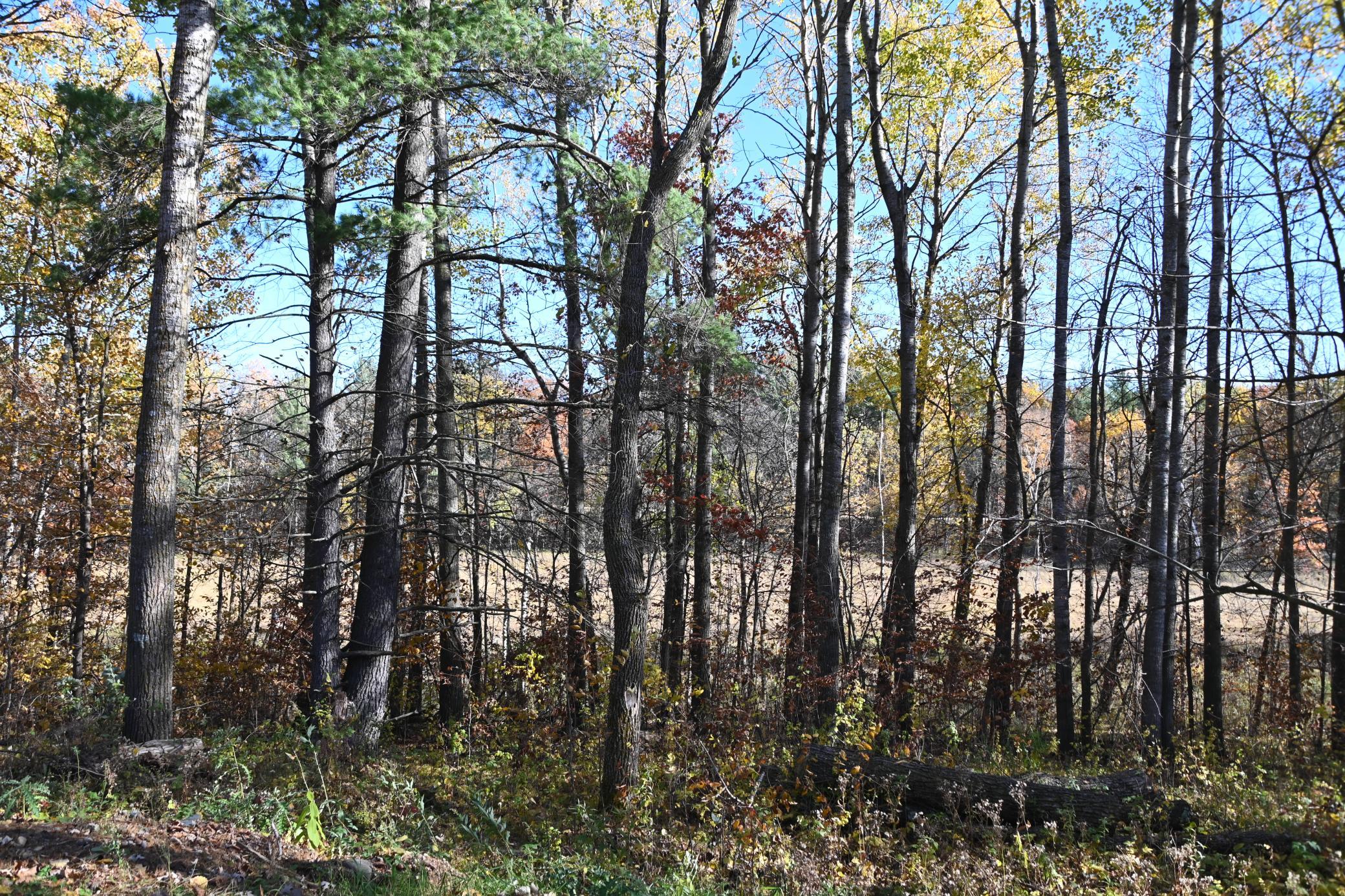 DSC_8610.JPG