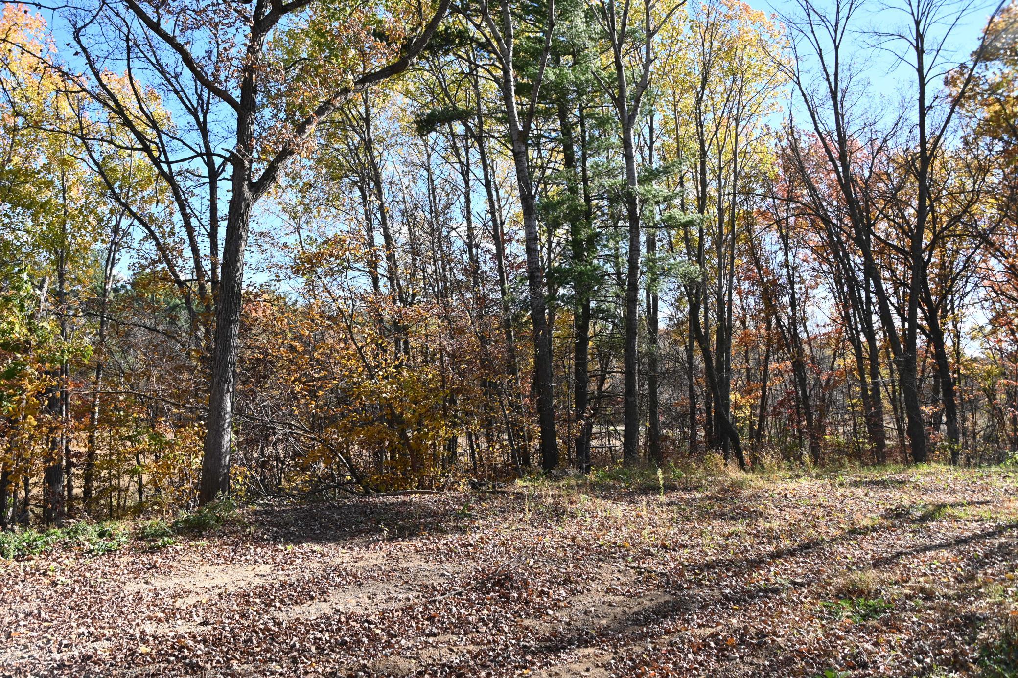 DSC_8620.JPG